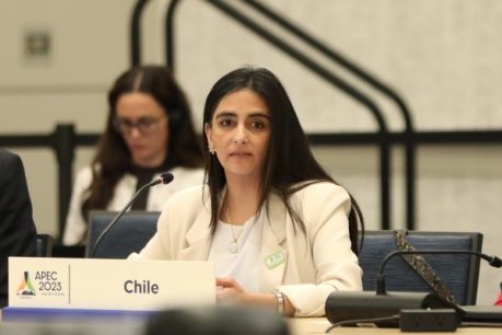 Subsecretaria de Relaciones Económicas Internacionales: "No diría que el programa de Visa Waiver estuvo en riesgo"