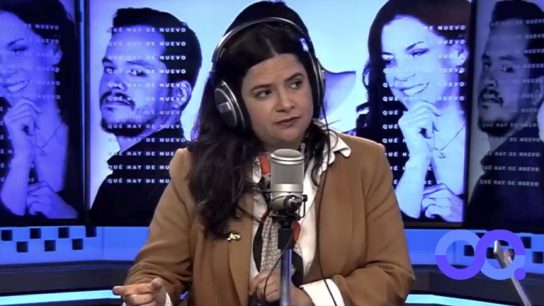 Ministra Orellana: "El anteproyecto constitucional de los expertos lo aprobaría mañana a ojos cerrados. No así con varias normas"