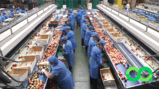 Juan Bravo del Observatorio del Contexto Económico de la UDP: "Para recuperar los niveles laborales pre pandemia falta crear 449 mil empleos"