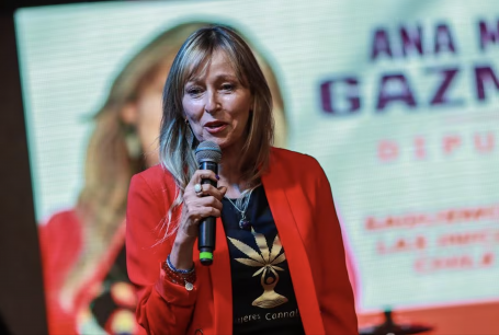 Diputada Gazmurri por situación de las Isapres: "A pesar de la inviabilidad de su funcionamiento, quieren eternizar el modelo"