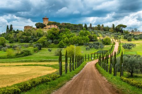 Toscana: Sinfonía del tomate y los Viñedos dorados en la cocina italiana