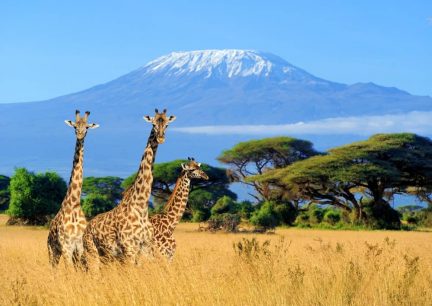 Kenia: Entre Safaris y Tradiciones Locales