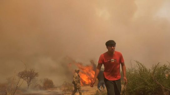 Atención psicológica gratuita a víctimas de los incendios forestales en la Región de Valparaíso