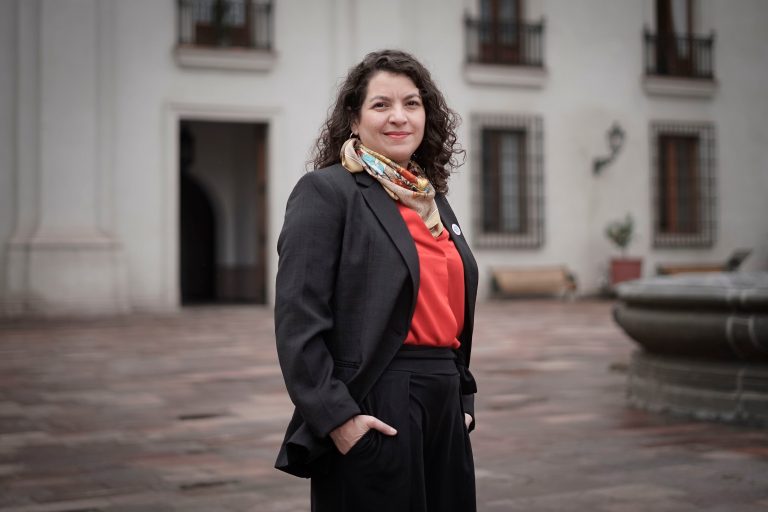 Ministra de Desarrollo Social aclara que ficha FIBE para afectados por incendios sólo se realiza presencial y "nunca de manera online o por teléfono"