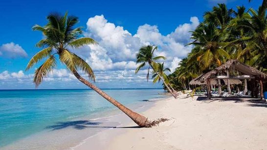 República Dominicana: Entre Playas Paradisíacas y Sabores Tropicales