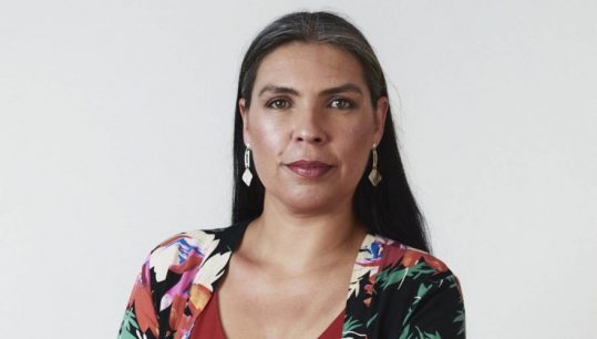 Bárbara Figueroa sobre hipótesis de secuestro del exmilitar venezolano: “Podemos estar generándonos un conflicto diplomático sin tener todos los elementos”