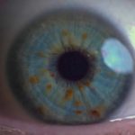Más de 200 mil personas en Chile se han sometido al escaneo de iris de Worldcoin