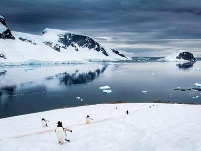 Antártica y sus alrededores