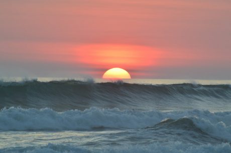 Costa Rica: Explorando la Biodiversidad de sus Selvas y sus Playas de Ensueño