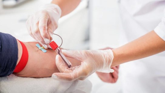 Doctora Cecilia Carrasco considera que pese a la baja tasa de donación de sangre, "el proceso no debe modificarse"