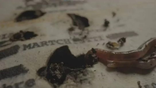 William Porath, experto en comunicaciones, sobre la polémica campaña de donación de órganos: “Tengo mis dudas de si hicieron un tipo de focus group"