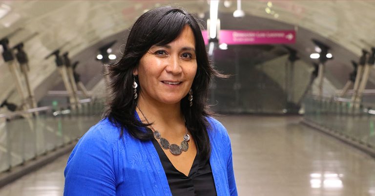 Directora de Transporte Público Metropolitano por sistema frontal: "Nos ocupamos de mantener la oferta como si fuera un día normal" 