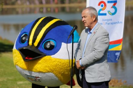 Presidente del Comité Olímpico de Chile: "Hay que cambiar la ley del Deporte"