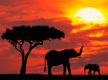 Sudáfrica: Explorando lo Mejor de la Nación Arcoíris
