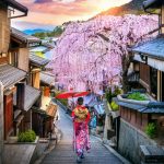 Japón: Un Viaje a la Tradición y la Modernidad