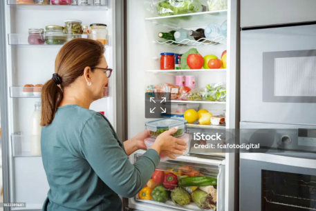 La evolución de los refrigeradores y freezers: de la necesidad a la tecnología