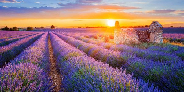 Provence: Paisajes que inspiran y tradiciones que perduran