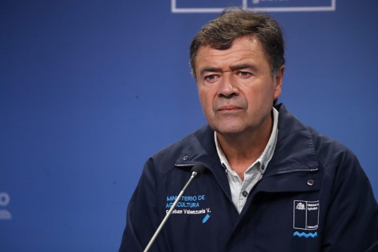 Ministro de Agricultura sobre resolución del tribunal por proyecto Dominga: "Los fallos judiciales no se comentan, se acatan"
