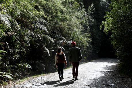 Región de los ríos: Un viaje a la Perla del Sur