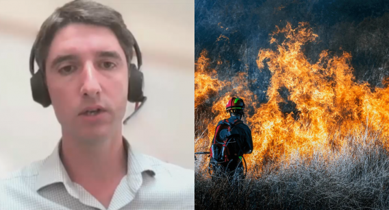 Siegfried King de Marsh corredora de seguros por incendios forestales: "Tiene que existir una coordinación mucho más amplia"