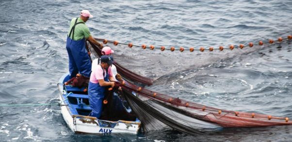 Condepp rechaza violentas protestas por Ley de Fraccionamiento y atribuye responsabilidad a Felipe Kast