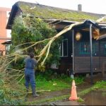 Tornado deja 250 viviendas dañadas, 8 lesionados y más de 7 mil clientes sin luz en Puerto Varas