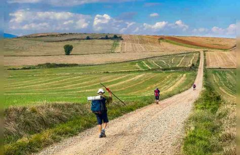 Camino de Santiago: Un viaje que transforma el alma