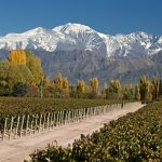 Mendoza: Naturaleza, Sabor y Aventura