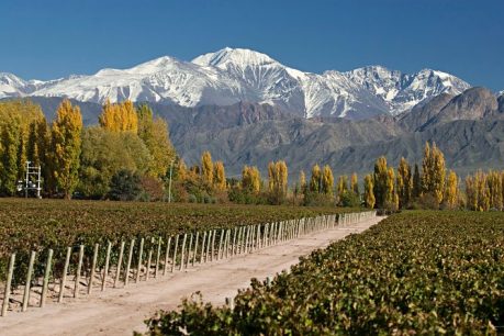 Mendoza: Naturaleza, Sabor y Aventura