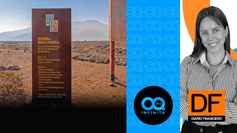 DF En Infinita: Gobierno recibe revés en el TC por proyecto Dominga