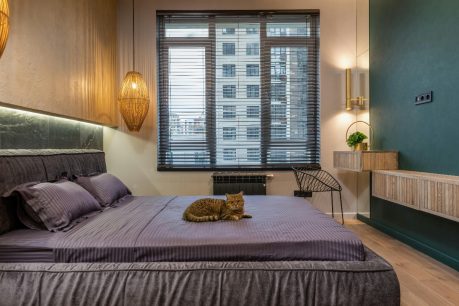 ¿Tu mascota invadió tu cama? Descansa mejor con un colchón king