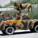 Un viaje a los rincones más salvajes del planeta