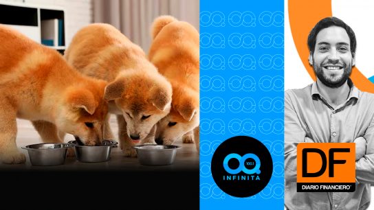 DF en Infinita: El boom de tenencia de animales y el negocio de las tiendas de mascotas