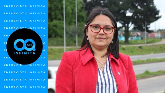 Republicanos admiten diferencias con Matthei, pero aseguran respaldo si Kast no pasa a segunda vuelta