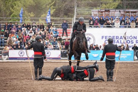 Entre el 17 y el 21 de septiembre en el Parque Padre Hurtado se llevará a cabo la versión XXVIII de la Semana de la Chilenidad