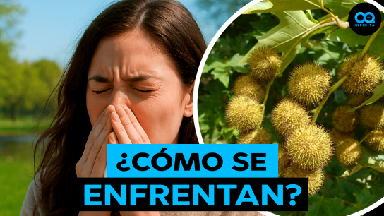 Alergias de primavera: cómo aliviar la molesta picazón