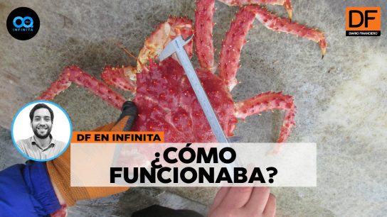 DF en Infinita | La historia detrás de la colusión de la centolla