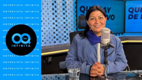 Elisa Loncon: "No quiero el estigma del terrorismo para la región (de La Araucanía)"