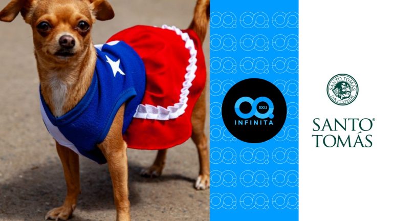 Red Transformadora | Fiestas Patrias y alimentación de mascotas: ¿Qué tan importante es una nutrición adecuada para su calidad de vida?