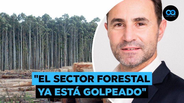Presidente de Corma por aranceles de Trump a la madera: "Podría bajar la demanda"
