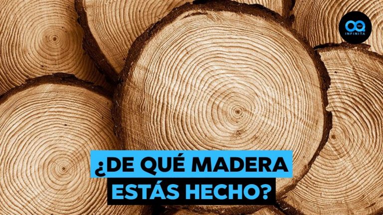 EtM Day 2025 | Arauco invita a todos los emprendedores a participar por un stand gratuito