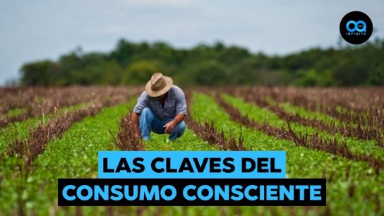 Mundo Infinito | ClearPrint: La startup chilena dedicada a la medicion y reporte de huella de carbono