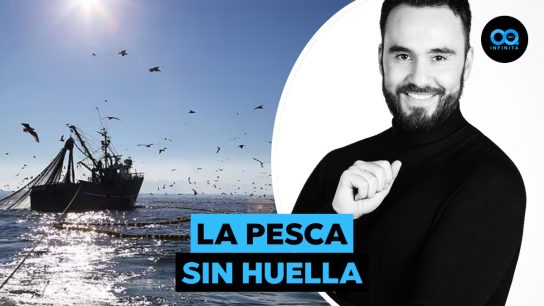 Captura responsable: La organización que busca fomentar la pesca consciente y sin huella de carbono