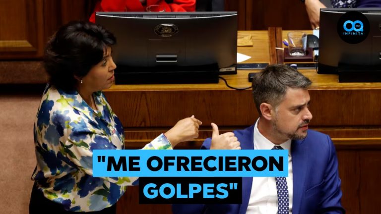 Diputado Manouchehri tras altercado con Provoste y Espinoza: "Durante mi intervención, la senadora lanzó insultos"