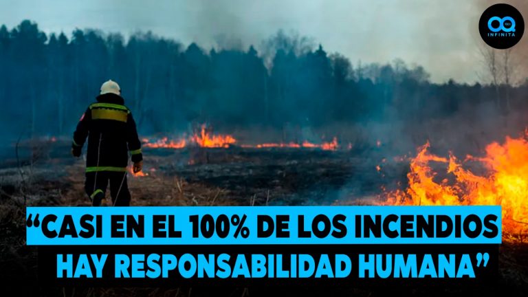 Se mantiene alerta por incendios forestales: ¿Cómo prevenir?