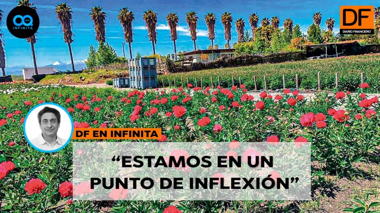 DF en Infinita  Florece una nueva industria: Chile escala 16 puestos en ranking global de exportadores de flores