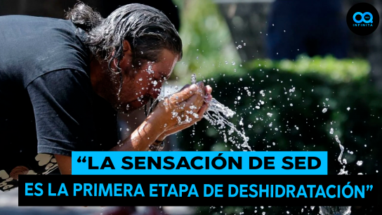 ¿Cómo combatir las olas de calor?