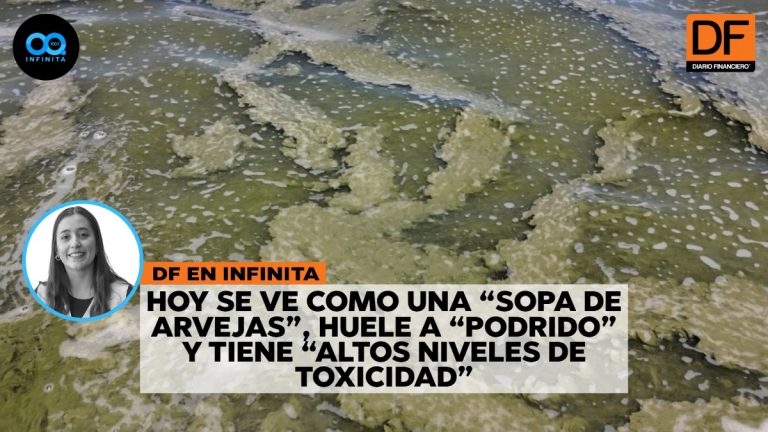 DF en Infinita | Qué harán los tradicionales veraneantes de Vichuquén ante la crisis de contaminación del lago