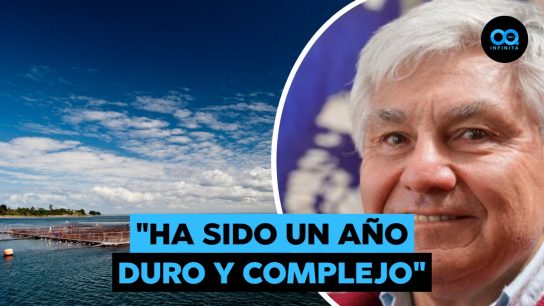 SalmonChile aumenta gastos en seguridad ante robos: "Son organizaciones delictuales sofisticadas"