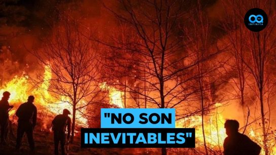Experto en prevención de desastres y temporada de incendios forestales: "Hay que controlar el factor humano"